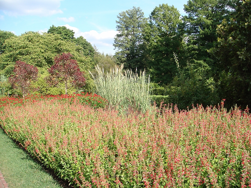 189 Longwood Gardens [2008 August 23].JPG - Longwood Gardens in Pennsylvania